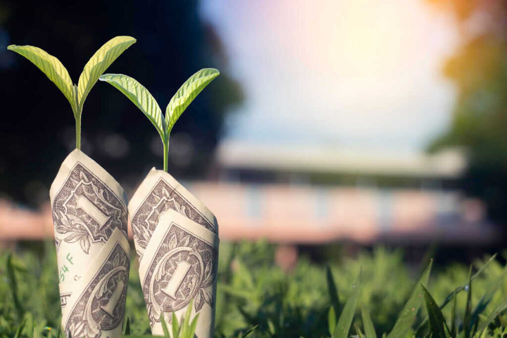 Homeowner Pool Education in Houston: How Data Improves Decision‑Making