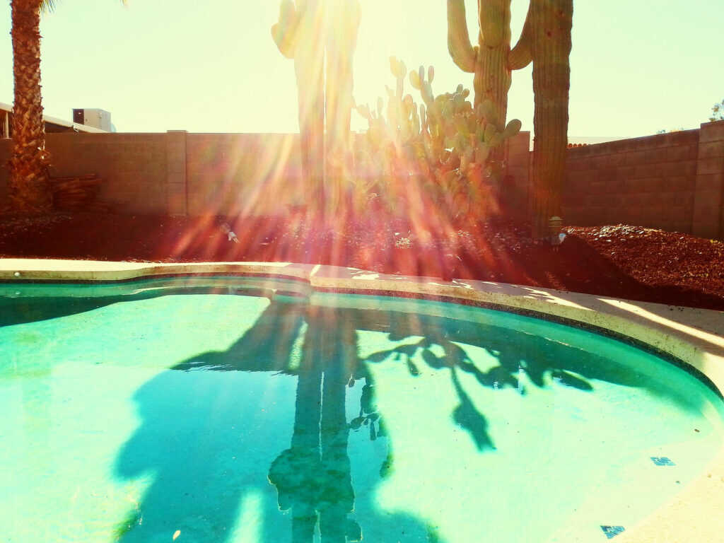 Neighborhood Marketing in Arizona: How to Train Teams for Better Results