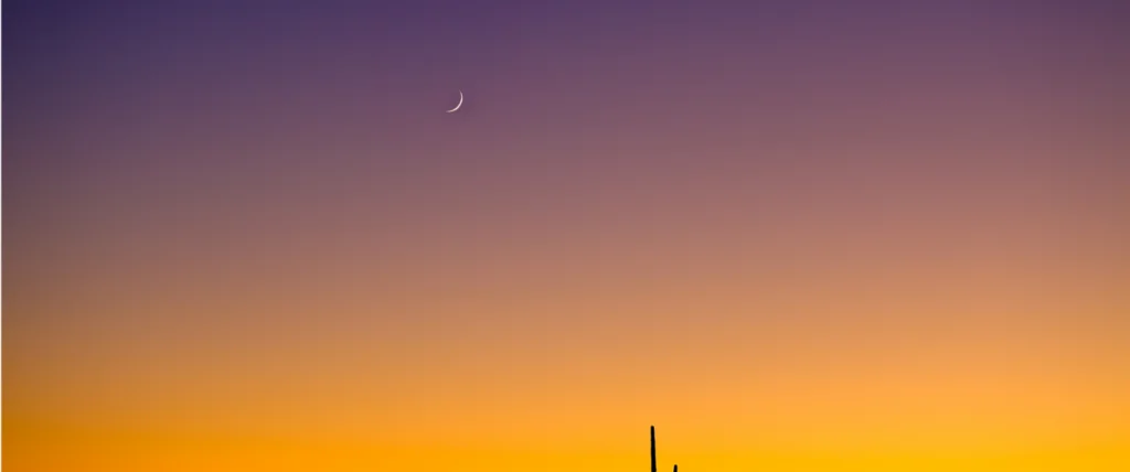 How to Build Leadership Skills Within Your Technician Team