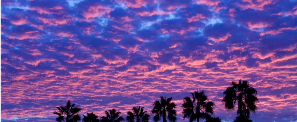 How to Recommend Renovation Options Without Overselling