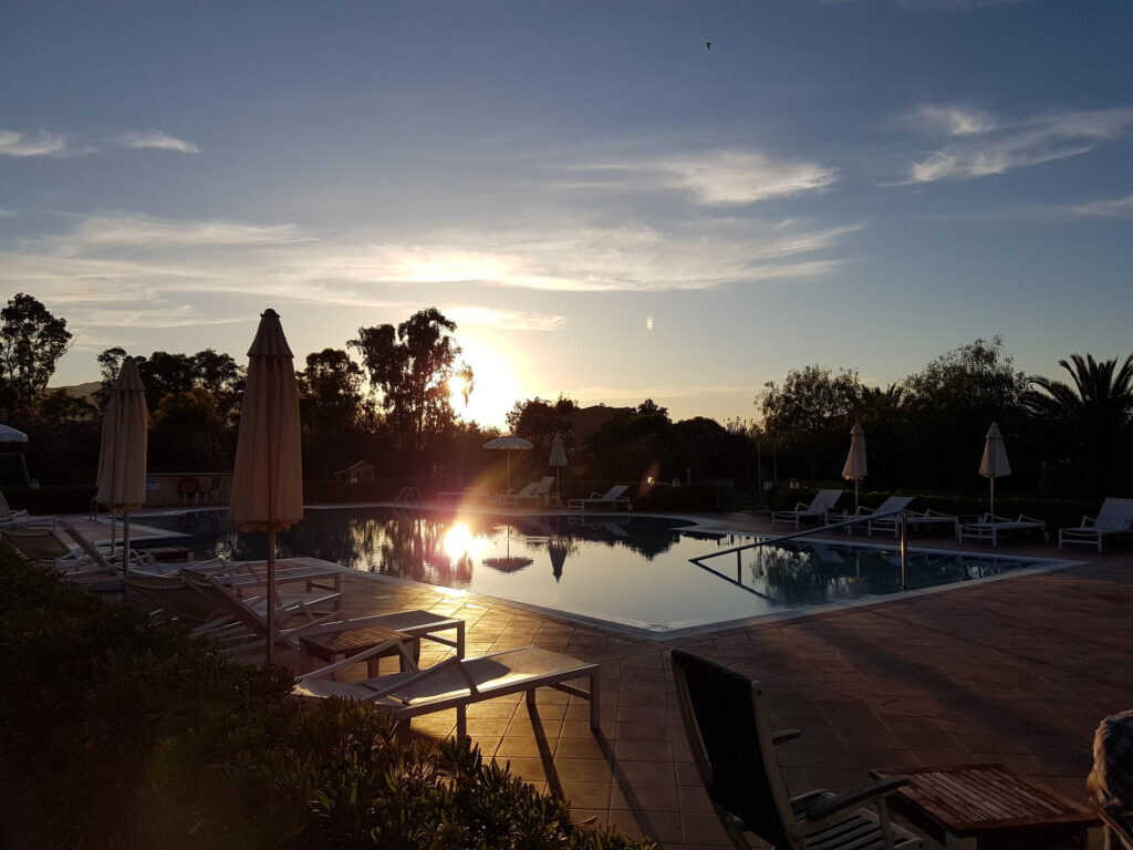 Route Profit Optimization: How to Build a Scalable Business Model