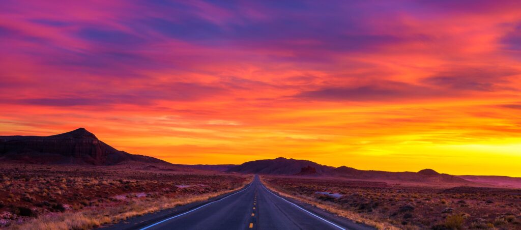 Service Fleet Management: The Hidden Costs Most Businesses Miss